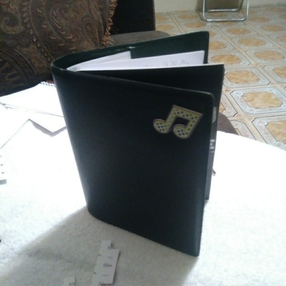 Louis vuitton diary book